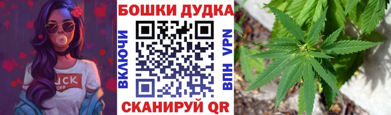 цена наркотик  Озёрск  Каннабис Amnesia 